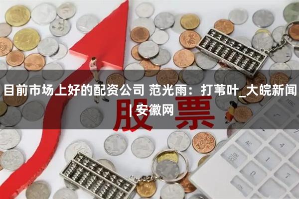 目前市场上好的配资公司 范光雨：打苇叶_大皖新闻 | 安徽网