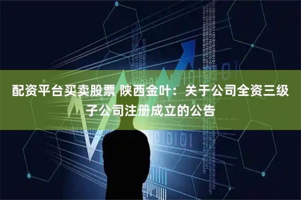 配资平台买卖股票 陕西金叶：关于公司全资三级子公司注册成立的公告